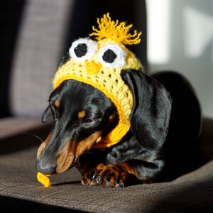 Cute Easter chick dog hat . Easter chick puppy hat . Pet fancy dress . dachshund. Dog clothes. Cat hat. Kawaii dog hat. image 7