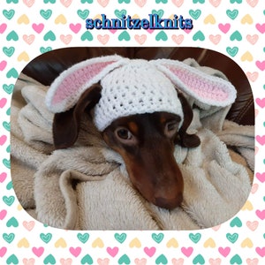 May include: A brown dachshund wearing a white crocheted bunny hat with pink inner ears. The dog is lying on a soft, beige blanket. The image has the text "schnitzelknits" in the upper center.
