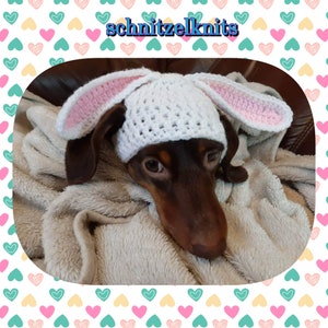 Floppy eared bunny dog hat. Easter dog hat.  Dachshund hat. Dog clothes. Dog hat