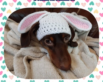 May include: A brown dachshund wearing a white crocheted bunny hat with pink inner ears. The dog is lying on a soft, beige blanket. The image has the text "schnitzelknits" in the upper center.