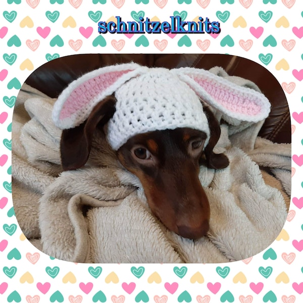 Floppy eared bunny dog hat. Easter dog hat.  Dachshund hat. Dog clothes. Dog hat