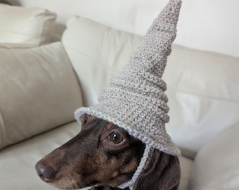 May include: A light gray, pointed, crocheted hat with a wide brim and two thin chin straps. The hat features a textured, ribbed pattern throughout its conical shape and is worn by a short-haired, brown dachshund with dark eyes and a black nose.