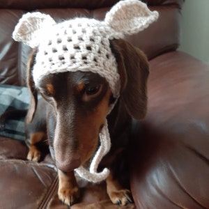 DOBBY inspired dog hat. Dog beanie. Dachshund clothes. Dog clothes. Cat hat. Pet gift. Dog fancy dress. Elf dog hat. image 4