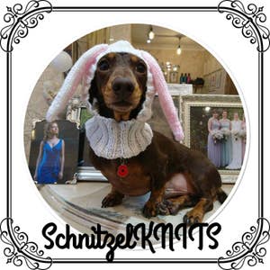 Dog clothes. Bunny eared  dog hood hat. Easter bunny hood hat for small dog . Fancy dress  hood hat for small dogs.  Dachshund.photo props
