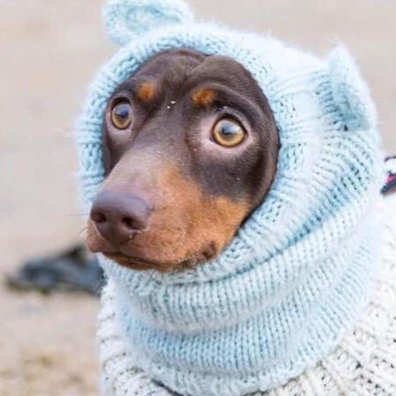 Dog snood hat. Dog neck warmer.Dachshund clothes . Dog clothes .pet clothes. Dog gift. Pet gifts. Mouse ears dog hat. Pompom ears snood. Mouse ears