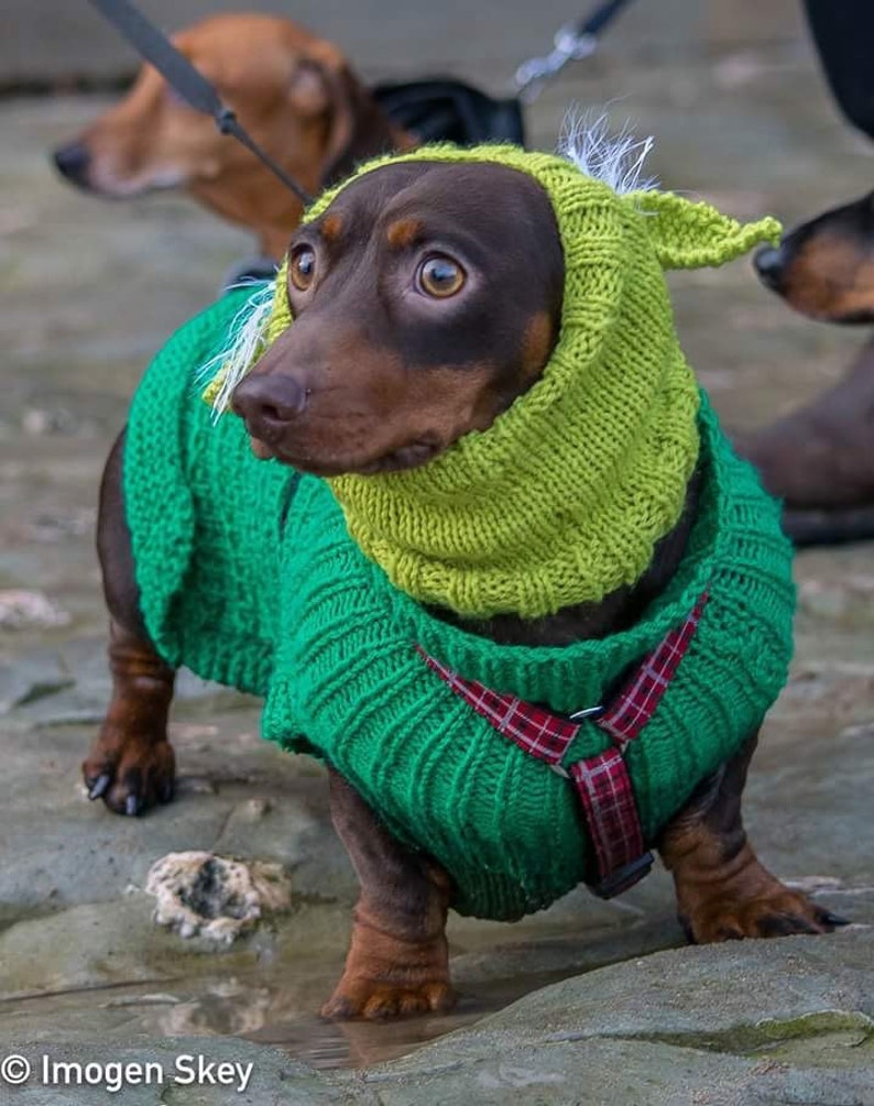 snood hood warm winter hat snood hood Yoda inspired dog snoodhood hat Dog fancy dress hat .star wars inspired dog hat