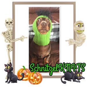 Frankenstein dog hood hat. Halloween dog hat . Monster dog hat . cute dog hat for fancy dress . Small dog hat. Ear warmer. Dog Halloween