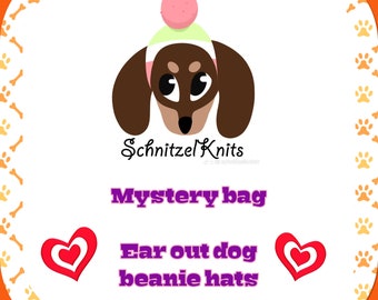 Mystery bag dog beanie hat. Pet clothes. Pet gift