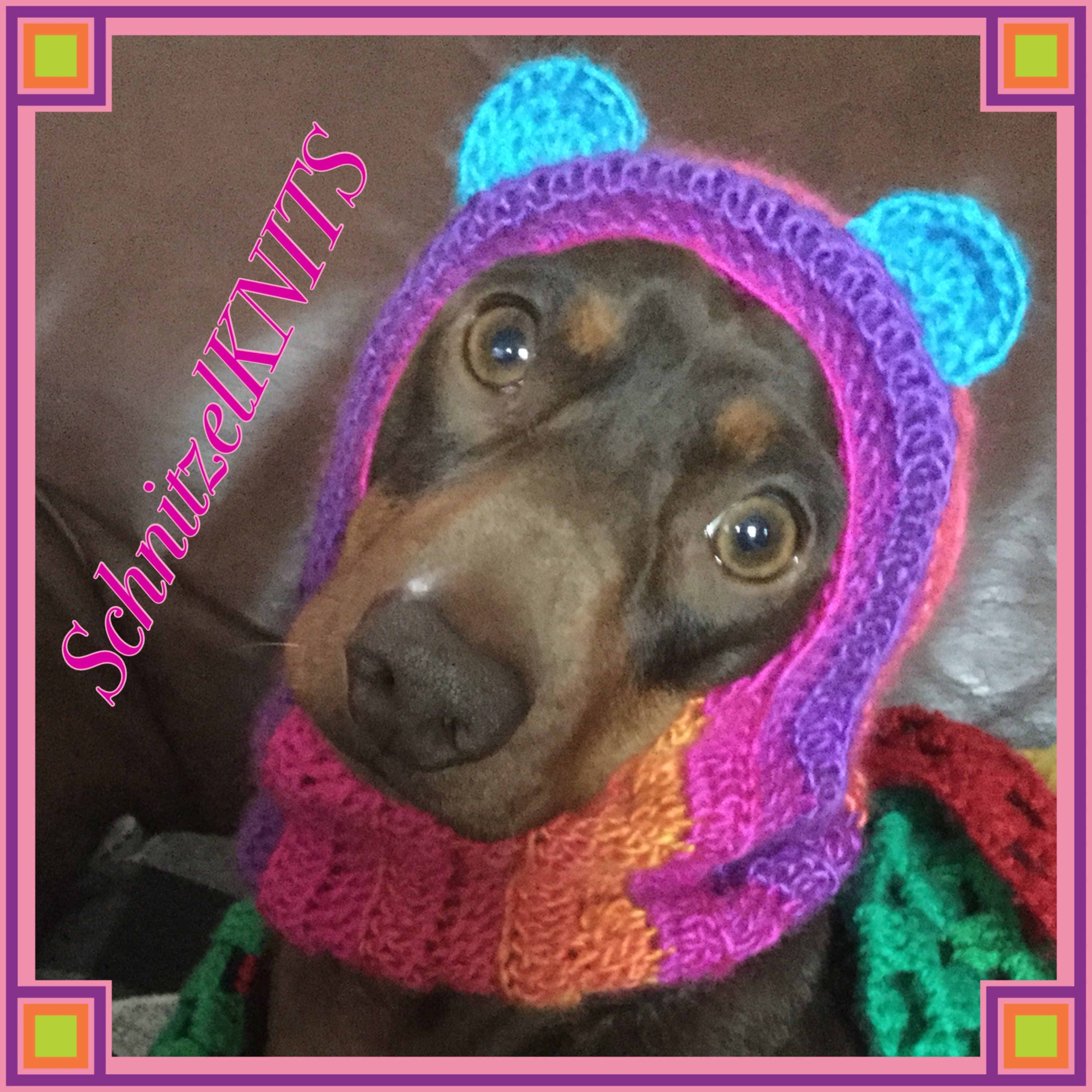 Teddybär Hund Kapuze Hut. Fancy Kleid für Hund. Kleine Hund Etsy