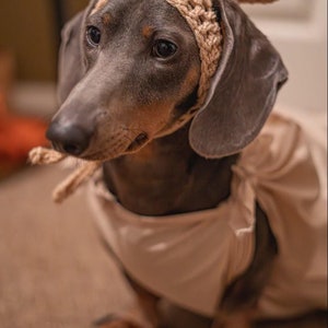 DOBBY inspired dog hat. Dog beanie. Dachshund clothes. Dog clothes. Cat hat. Pet gift. Dog fancy dress. Elf dog hat. image 5