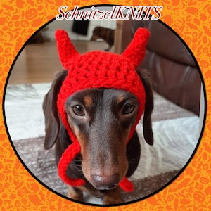 Czapka beanie dla psa Little Red Devil. Czapka dla psa na Halloween. Czapka jamnika. Ubranka dla psa. Kostium na Halloween dla psa