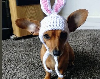 bunny ear dog or cat hat. Easter bunny dog hat . Puppy hat.  dachshund hat. Chihuahua hat. Dog clothes.photo props. Dog present.pet gift.