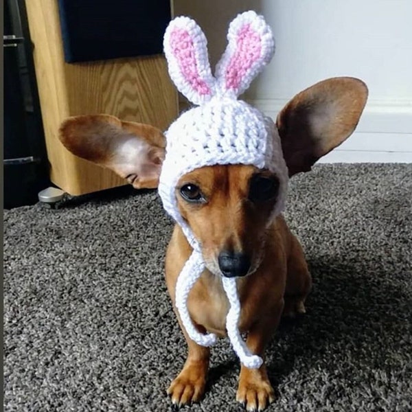 sombrero de perro o gato con orejas de conejo. Sombrero de perro conejito de Pascua. Gorro de cachorro. sombrero de perro salchicha. Gorro chihuahua. Ropa para perros.accesorios para fotos. Perro presente.regalo de mascota.