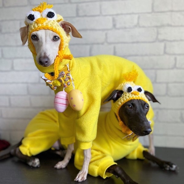 Cute Easter chick dog hat .  Easter chick puppy hat . Pet fancy dress . dachshund. Dog clothes. Cat hat. Kawaii dog hat.