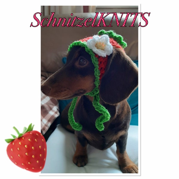 Strawberry dog hat. Dog clothes. Dachshund hat. Dog gift. Pet clothes. Yorkie clothes .cat hat. Dog beanie hat. Chihuahua clothes.