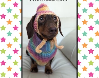 Matching dog hat and sweater. Dog clothes set. Dachshund clothes