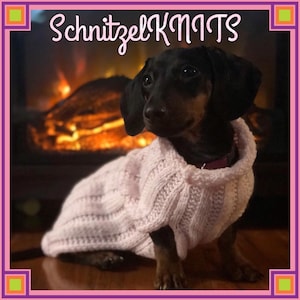 Kuschelig weicher Hundepullover für kleine Hunde. Hundepullover.Hund Geschenk. Hund vorhanden. Haustier Pullover