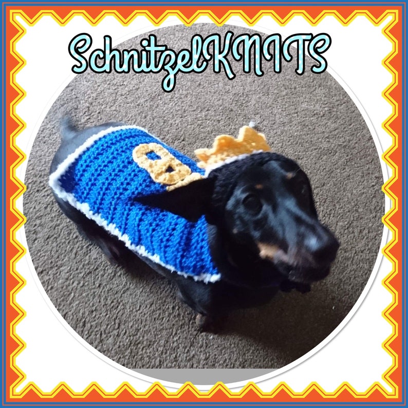 Christmas thanksgiving Prince Charming fancy dress outfit for small dog .cute fancy-dress hat and cape for dachshund Halloween