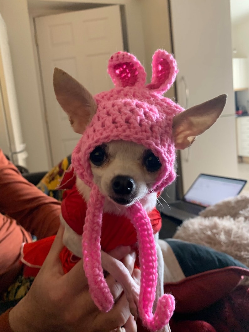 Bunny Ear Dog or Cat Hat. Easter Bunny Dog Hat . Puppy Hat. Etsy UK