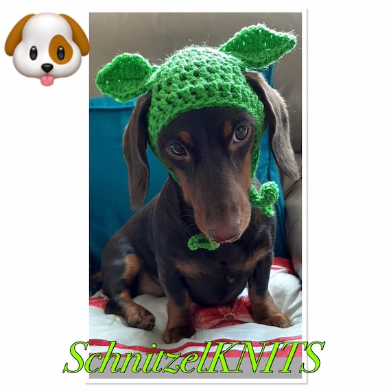 Baby Yoda Inspired Dog Hat. Dachshund 