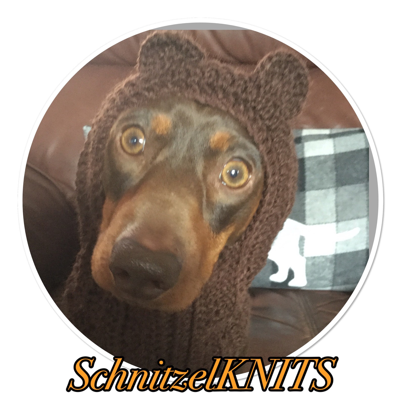 Teddybär Hund Kapuze Hut. Fancy Kleid für Hund. Kleine Hund Etsy