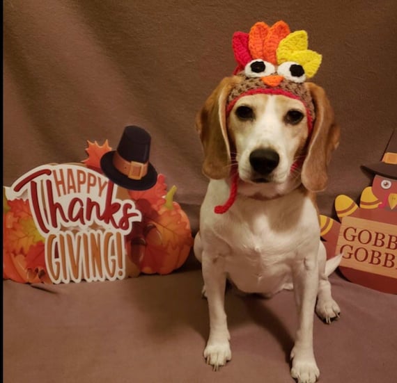 Thanksgiving turkey dog hat . Fancy dress dog hat  for small dogs .  American holiday dog hat . Pet clothes , dog clothes. Cat hat. Dog prop
