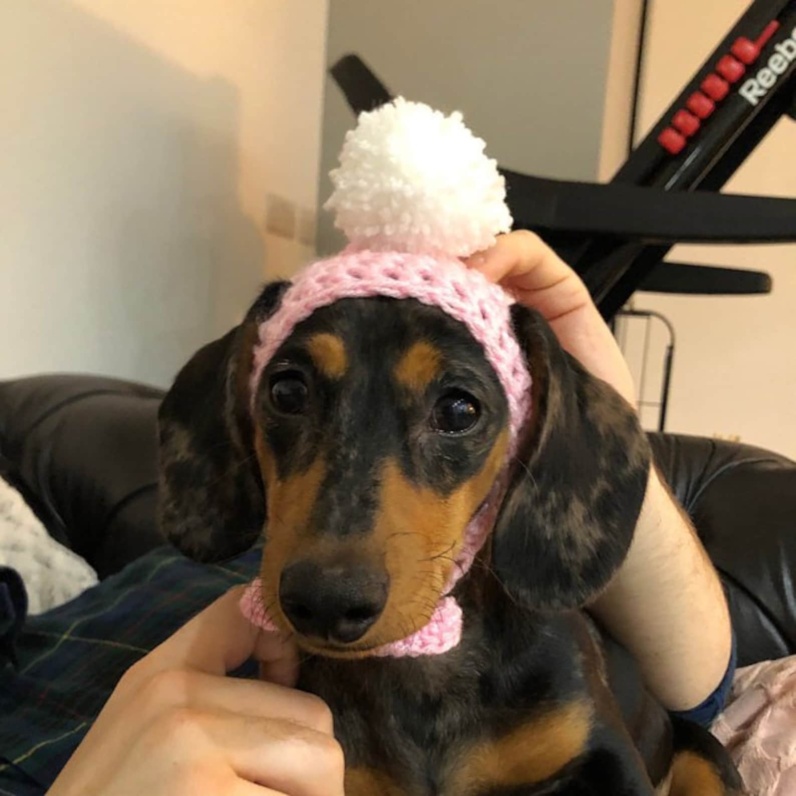 Dog Bobble Hat With Ear Holes. Puppy Hat. Dog Beanie Etsy UK