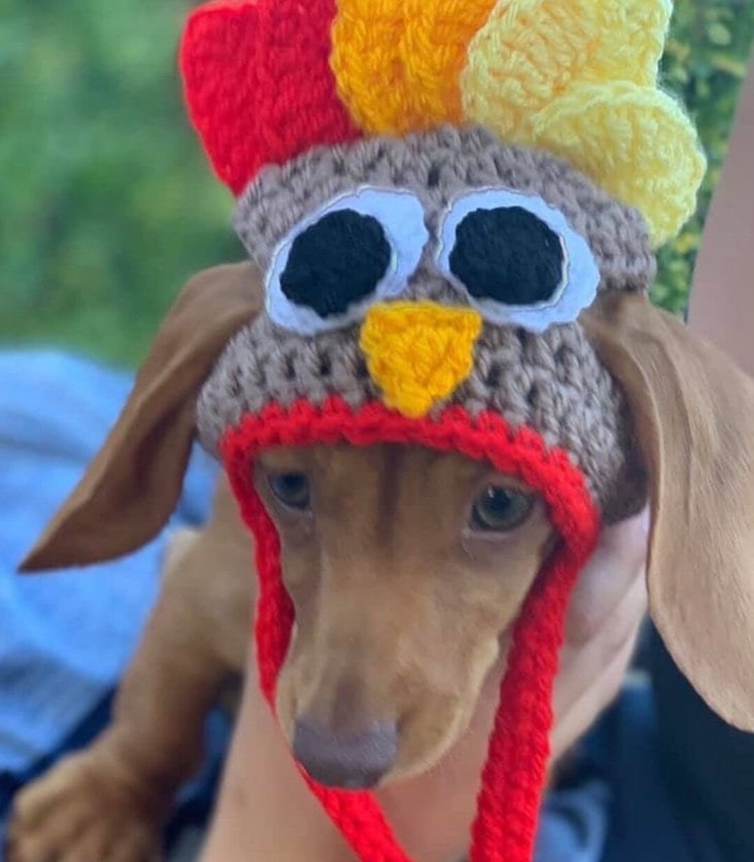 Thanksgiving Turkey Dog Hat . Fancy Dress Dog Hat for Small Etsy
