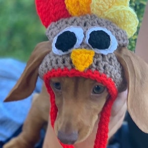 Thanksgiving turkey dog hat . Fancy dress dog hat  for small dogs .  American holiday dog hat . Pet clothes , dog clothes. Cat hat. Dog prop