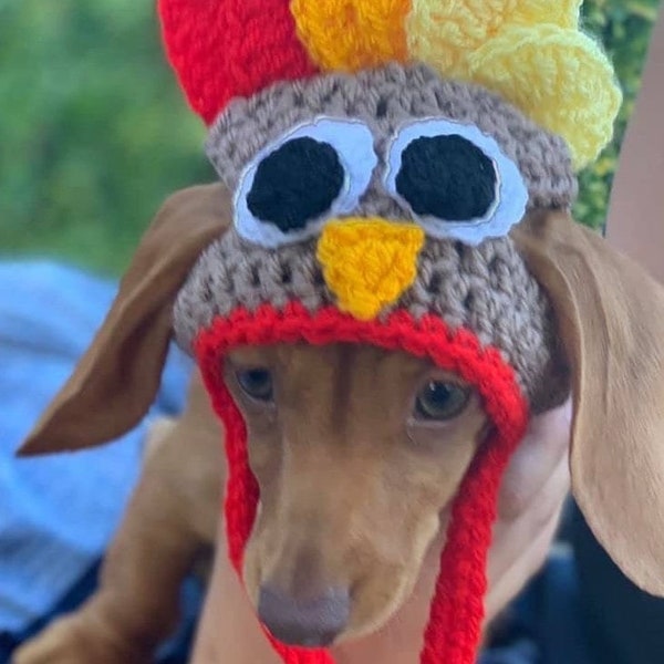 Thanksgiving turkey dog hat . Fancy dress dog hat  for small dogs .  American holiday dog hat . Pet clothes , dog clothes. Cat hat. Dog prop