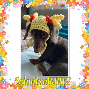 Goldilocks dog hat. Pig tails dog hat. Dachshund clothes. Dog gift. Dog fancy dress.Cat hat.dog beanie hat. Chihuahua hat .chihuahua clothes