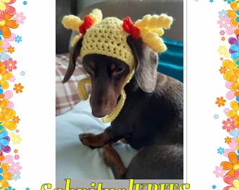 Goldilocks dog hat. Pig tails dog hat. Dachshund clothes. Dog gift. Dog fancy dress.Cat hat.dog beanie hat. Chihuahua hat .chihuahua clothes