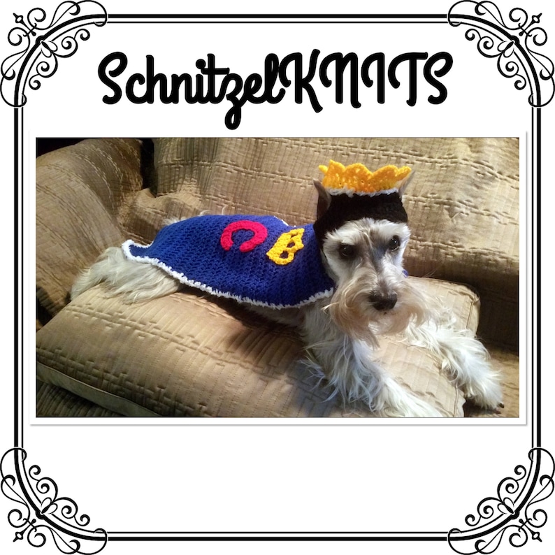 Christmas thanksgiving Prince Charming fancy dress outfit for small dog .cute fancy-dress hat and cape for dachshund Halloween
