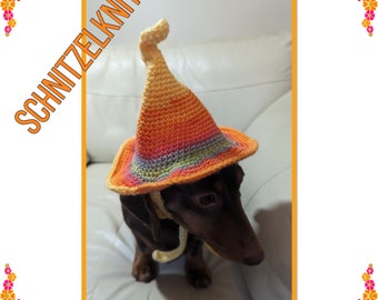 Spring colours fairy dog hat. Dog witch hat. Small dog hat .pet clothes. Pet hat. Dog clothes.dachshund hat