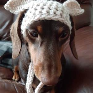 DOBBY inspired dog hat. Dog beanie. Dachshund clothes. Dog clothes. Cat hat. Pet gift. Dog fancy dress. Elf dog hat. image 3