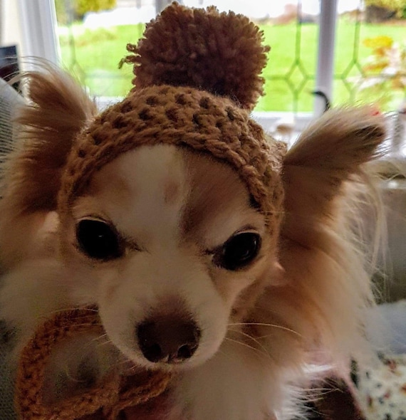 Warm Pet Dog Knitted Hat,Pet Dog Winter Knitted Hat, Hats for Small Dogs,  Winter Dog Hat with Ear Holes and Long Tassel, Pink