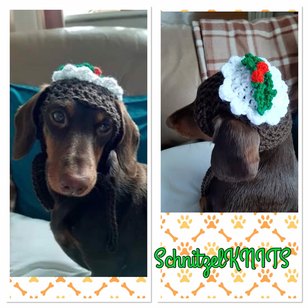 Christmas Pudding Dog Hat. Holiday Dog Hat. Dog Gift. Pet Etsy