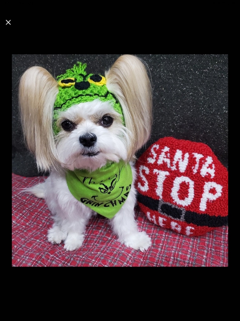 Grinch Dog Hat. Christmas Dog Hat. Dog Clothes. Pet Parent Gift Etsy UK