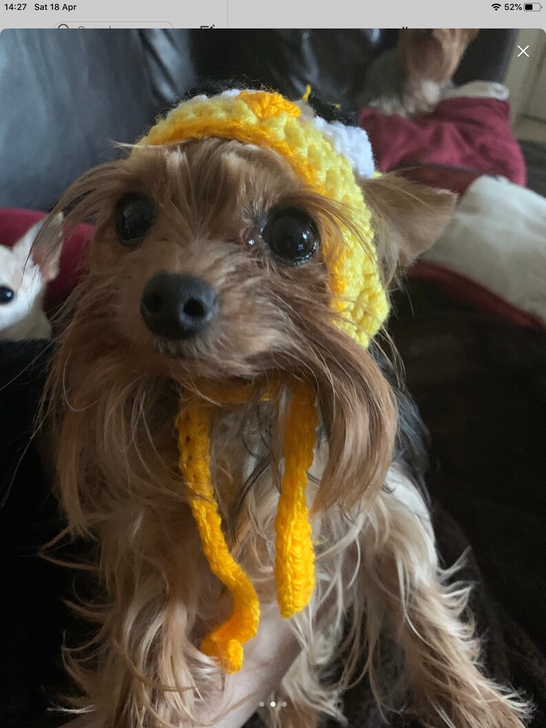 Cute Easter chick dog hat . Easter chick puppy hat . Pet fancy dress . dachshund. Dog clothes. Cat hat. Kawaii dog hat. image 4