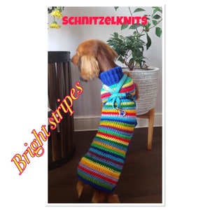 Könnte beinhalten: Ein kleiner Hund trägt einen bunten gehäkelten Pullover mit leuchtenden Streifen in Rot, Orange, Gelb, Grün, Blau und Lila. Der Pullover hat einen blauen Rollkragen und ein blaues Band, das um den Hals gebunden ist. Der Hund steht auf einem Holzboden. Der Text "SchnitzelKnits" ist in der oberen rechten Ecke des Bildes sichtbar. Der Text "Bright stripes" ist in der unteren linken Ecke des Bildes sichtbar.