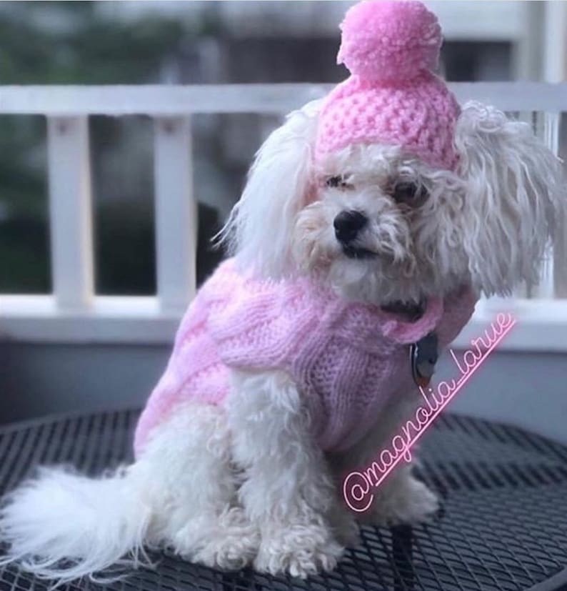 Cozy Knitted Dog Jumper .small Dog Sweater .dachshund Sweater Etsy UK