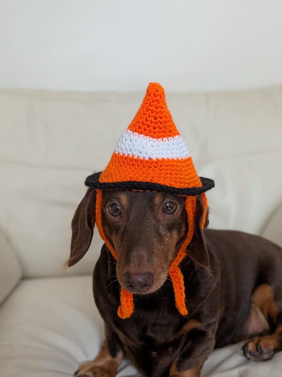 Traffic cone hat. Fancy dress for dog. Pet clothes. Dachshund clothes. Dog clothes