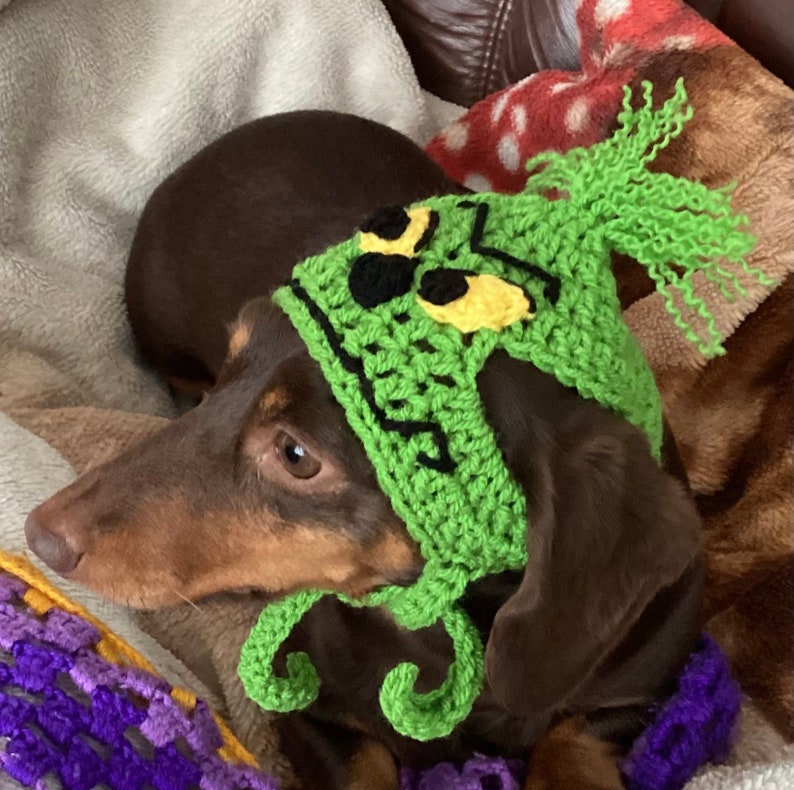 Grinch Dog Hat. Christmas Dog Hat. Dog Clothes. Pet Parent Gift Etsy UK