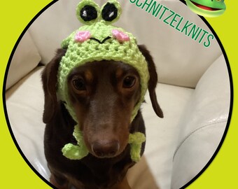 Cute frog hat for dog or cat.funny frog dog hat. Dog clothes.dachshund hat