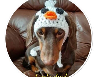 Duck ear out hat for small dog or cat.  Duck beanie hat.  Kawaii duck hat for dog.