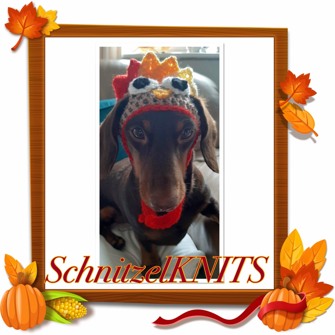 Thanksgiving turkey dog hat . Fancy dress dog hat for small Etsy