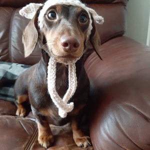 DOBBY inspired dog hat. Dog beanie. Dachshund clothes. Dog clothes. Cat hat. Pet gift. Dog fancy dress. Elf dog hat. image 2