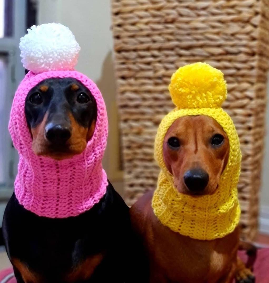 Dog Hood With Covered Ears and Large Pompom. Pompom Hood for Small