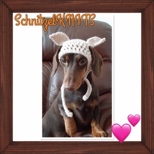 DOBBY inspired dog hat. Dog beanie. Dachshund clothes. Dog clothes. Cat hat. Pet gift. Dog fancy dress. Elf dog hat. image 1