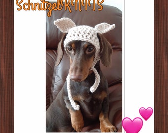 DOBBY inspired dog hat. Dog beanie. Dachshund clothes. Dog clothes. Cat hat. Pet gift. Dog fancy dress. Elf dog hat.